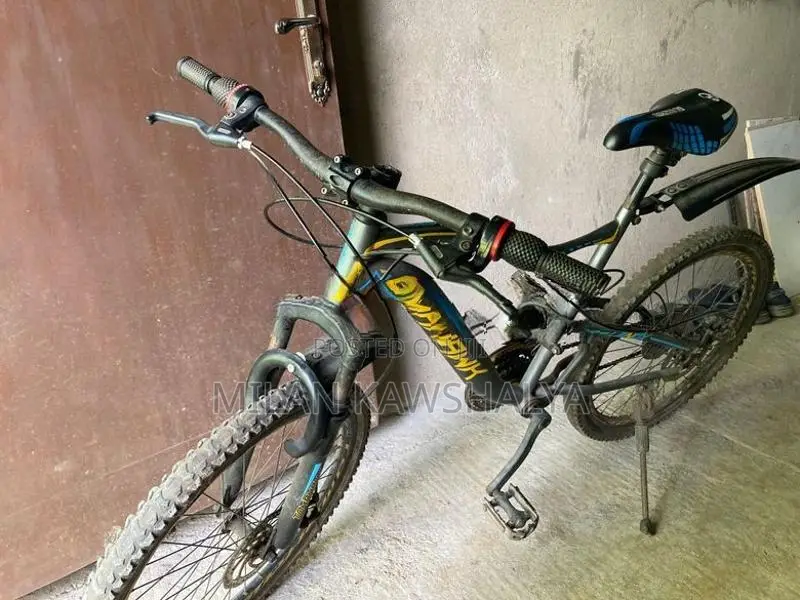 Tomhawk Bicycle