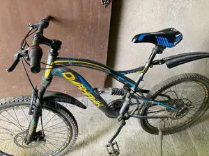 Tomhawk Bicycle