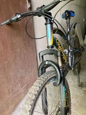 Tomhawk Bicycle