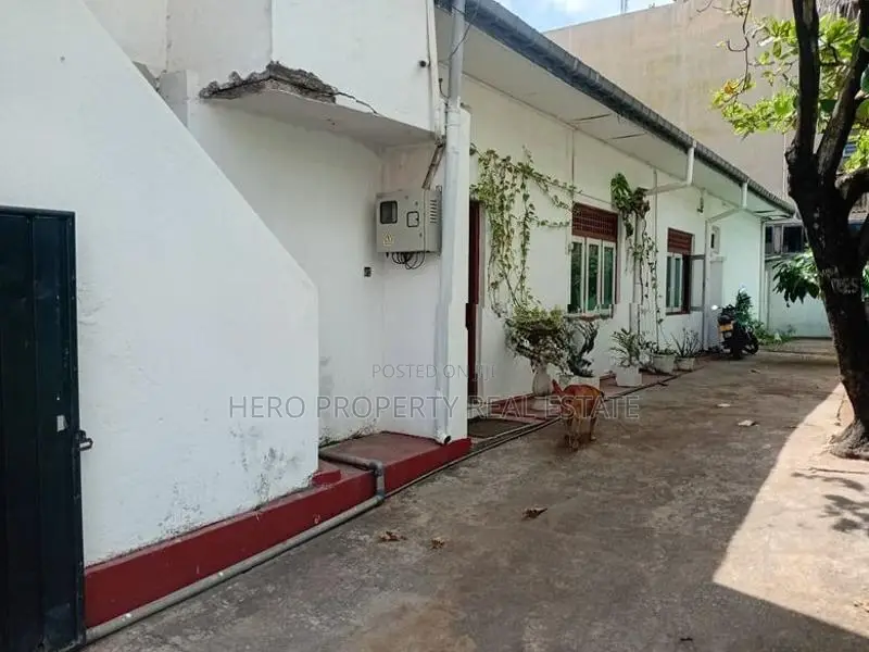 (CPS1032) VALUEBLE LAND WITH HOUSE FOR SALE IN MOUNTLAVANIA