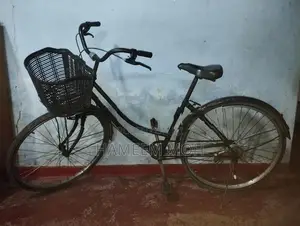Tomahawk Ladies Bicycle
