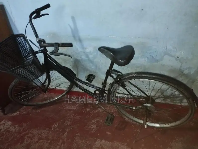 Tomahawk Ladies Bicycle