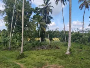 Werabugedra Land for Sale