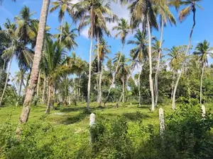 Werabugedra Land for Sale