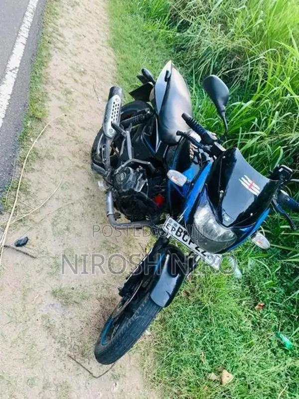 Bajaj Pulsar 150 2015