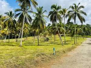මැල්සිරිපුර දබුල්ල ප්‍රධාන පාර ලගින් ඉඩමක් විකිණීමට