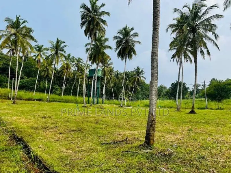 මැල්සිරිපුර දබුල්ල ප්‍රධාන පාර ලගින් ඉඩමක් විකිණීමට