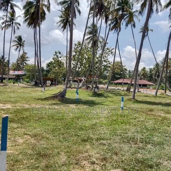 කුරුණෑගල පැල්ලන්දෙනිය හන්දියෙන් ඉඩමක් විකිණීමට