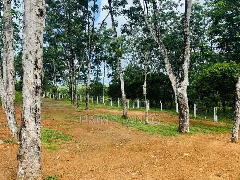 Residential Land Plots for Sale Ballapitiya