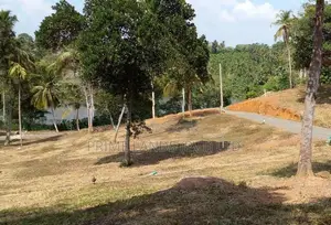මාතර තල්පාවිල වැවකට මුහුණලා බිම් කොටස්
