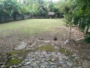Land for Sale - 20 Perches in Pitta Kotte (A3973)