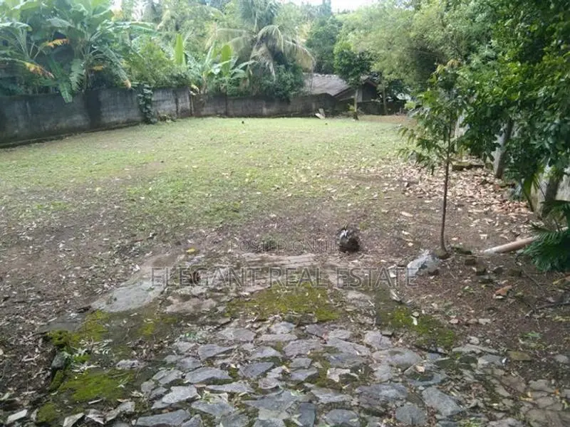 Land for Sale - 20 Perches in Pitta Kotte (A3973)