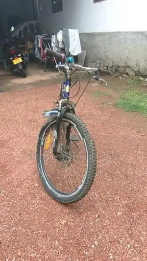 2024 DSI Bike