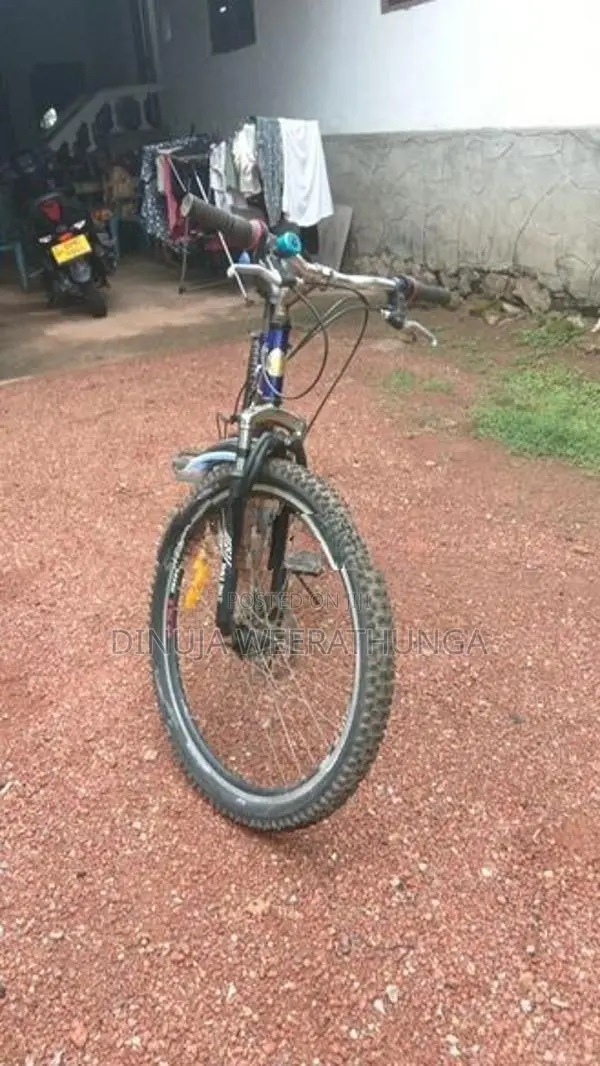 2024 DSI Bike