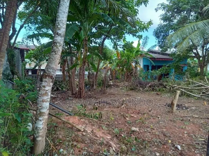 Land For Sale - Wadduwa