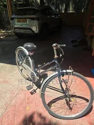 Tomahawk Hudson Vintage Bicycle (Japan Bike Style)