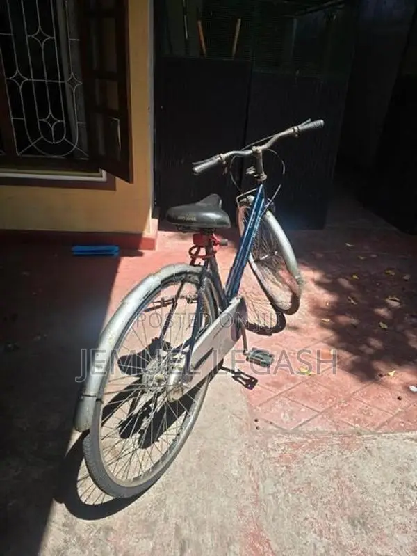 Tomahawk Hudson Vintage Bicycle (Japan Bike Style)