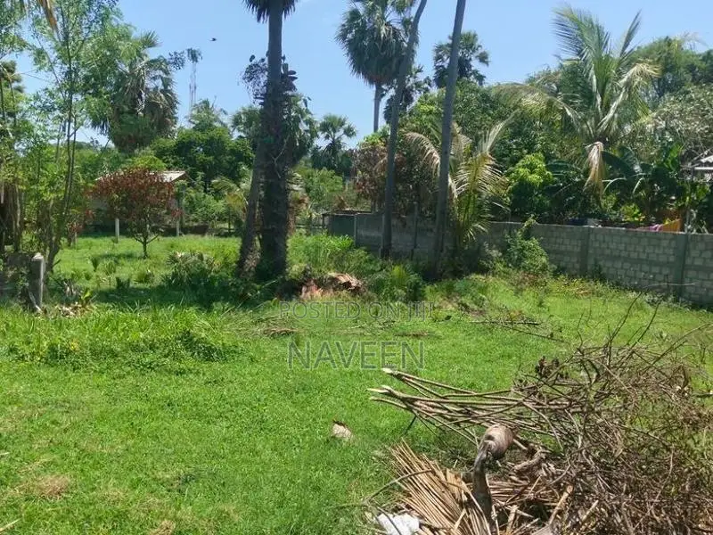 20 Perches Private Deed Land For Sale – Anpuvalipuram, Trincomalee.