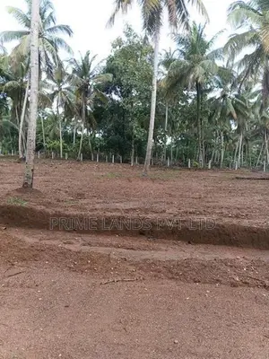 කුරුණෑගල දොරටියාව ඉඩමක් විකිණීමට