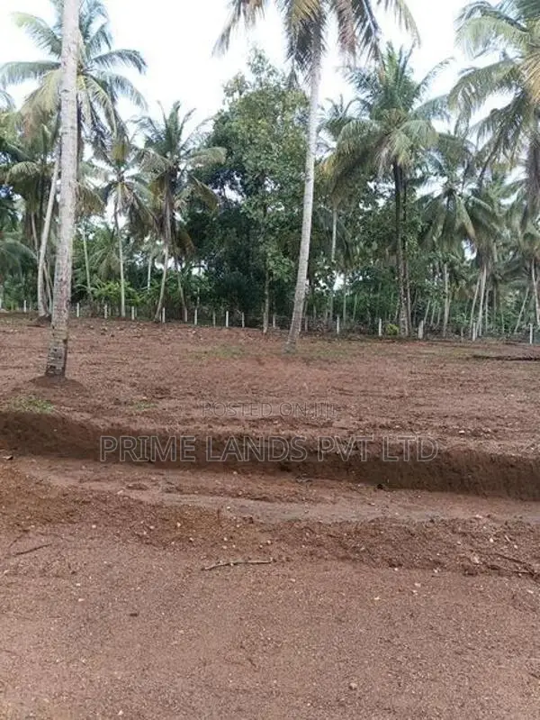 කුරුණෑගල දොරටියාව ඉඩමක් විකිණීමට