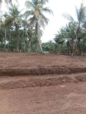 කුරුණෑගල දොරටියාව ඉඩමක් විකිණීමට