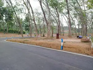 තලගල බෙරුකැටිය බිම් කොටස් විකිණීමට