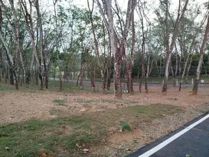 තලගල බෙරුකැටිය බිම් කොටස් විකිණීමට