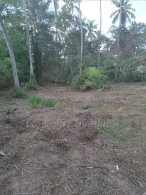 Land For Sale Wariyapola