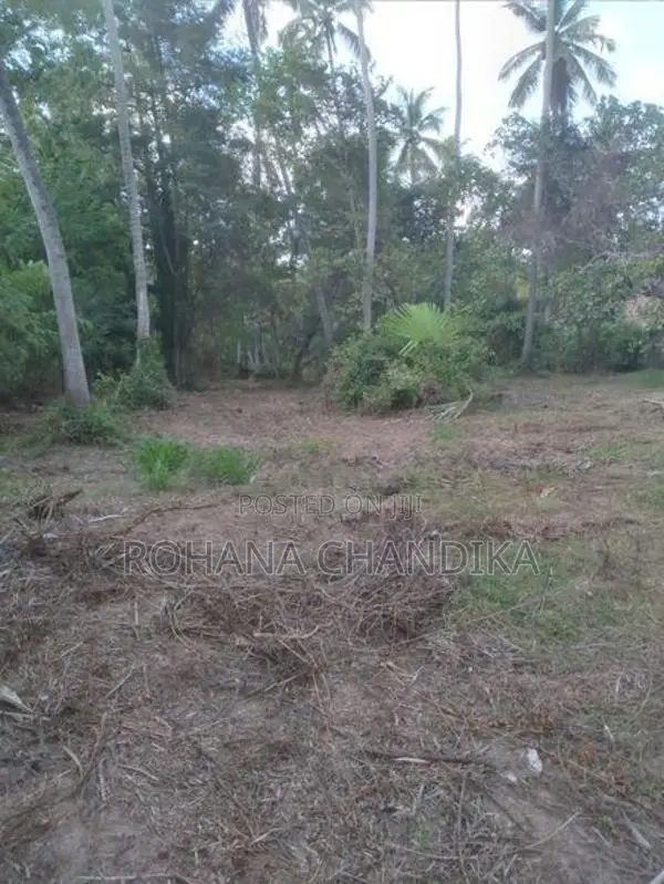 Land For Sale Wariyapola