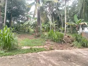 Land For Sale In Kirindiwela කිරිඳිවැල ඉඩමක් විකිනීමට