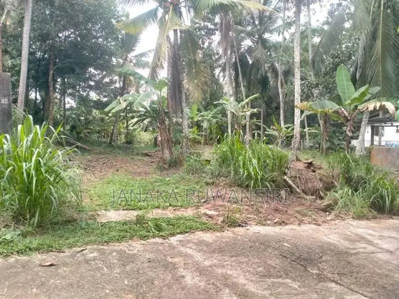 Land For Sale In Kirindiwela කිරිඳිවැල ඉඩමක් විකිනීමට