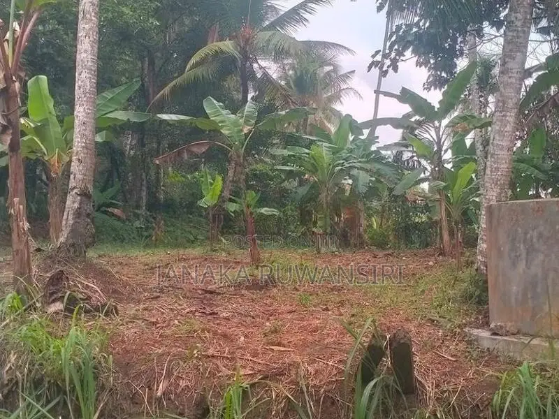 Land For Sale In Kirindiwela කිරිඳිවැල ඉඩමක් විකිනීමට