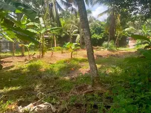 Land For Sale In Kirindiwela කිරිඳිවැල ඉඩමක් විකිනීමට
