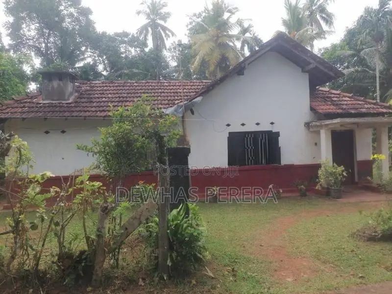 Land for sale vataaddra veyangoda