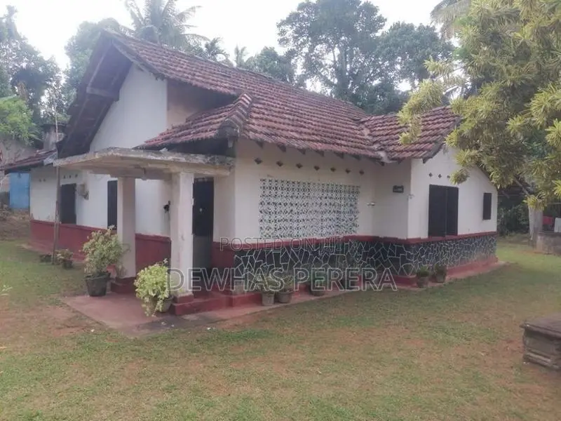 Land for sale vataaddra veyangoda