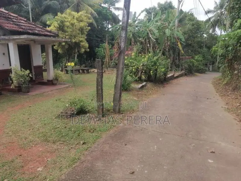 Land for sale vataaddra veyangoda