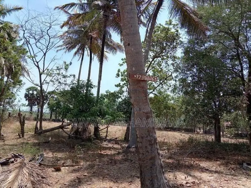 Land for Sale in வாழைச்சேனை