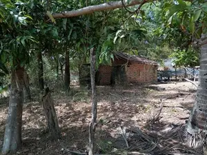 Land for Sale in வாழைச்சேனை