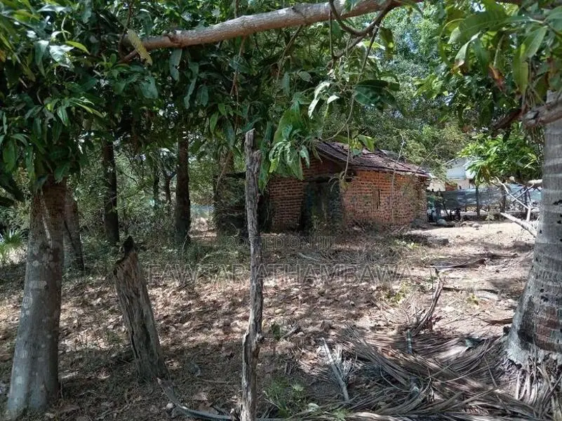 Land for Sale in வாழைச்சேனை