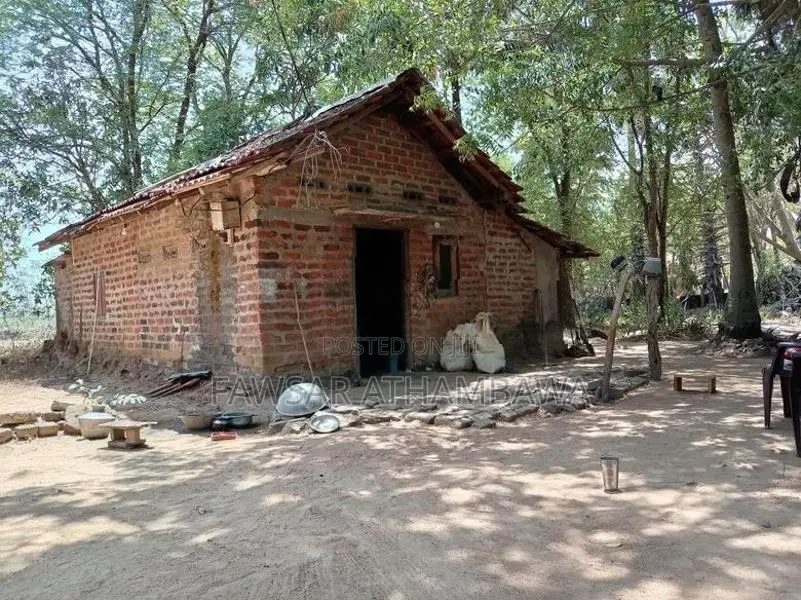 Land for Sale in வாழைச்சேனை