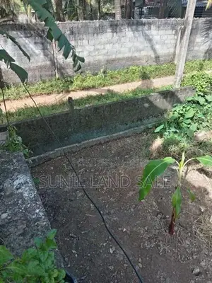 10.8 Valuable Land for Sale in Polgasowita Pahalagama road