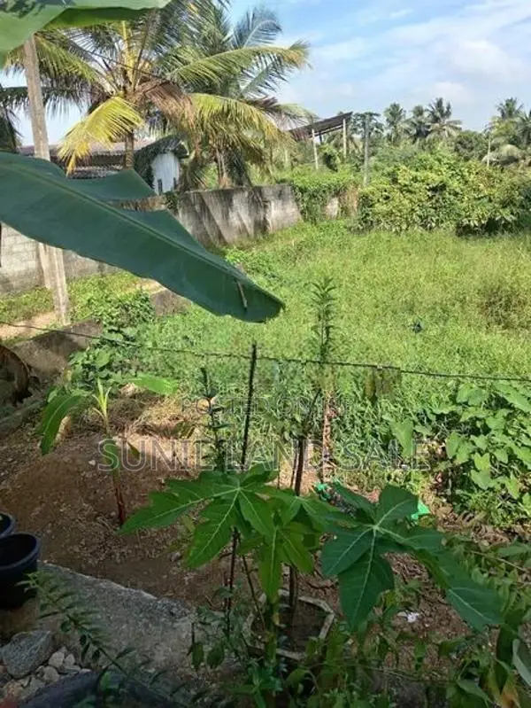 10.8 Valuable Land for Sale in Polgasowita Pahalagama road