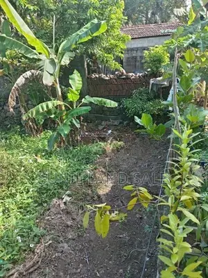 10.8 Valuable Land for Sale in Polgasowita Pahalagama road