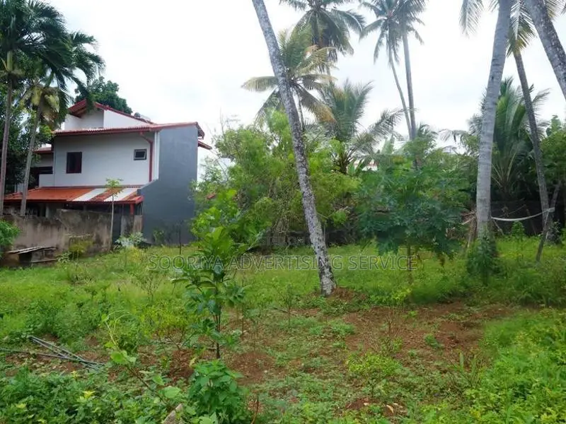 Land for Sale Near Piliyandala Town