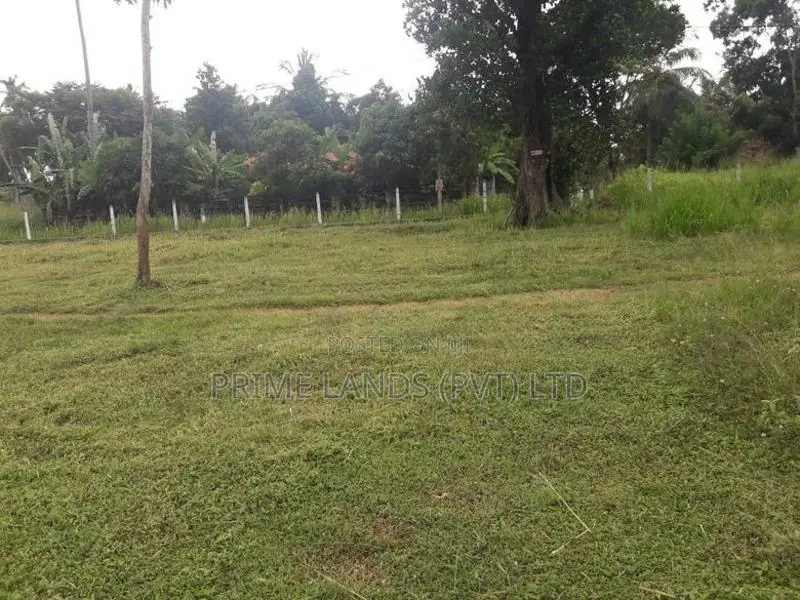 කුලියාපිටිය නගරයට ලගින්ම ඉඩමක්