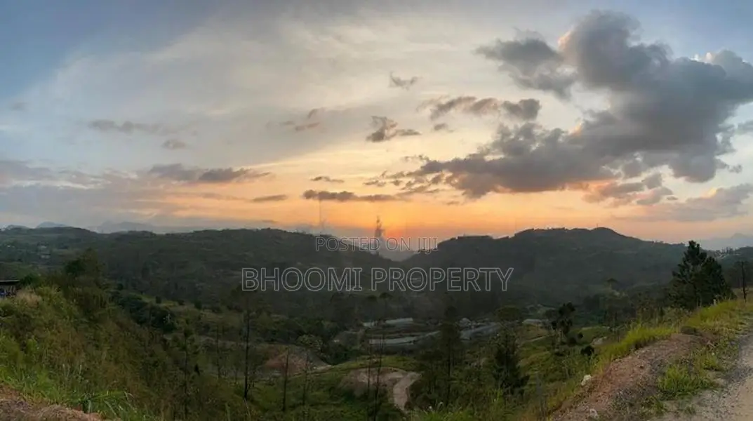 සුන්දර හැටන් වටවල අගනා බිම් කොටස් විකිණිමට