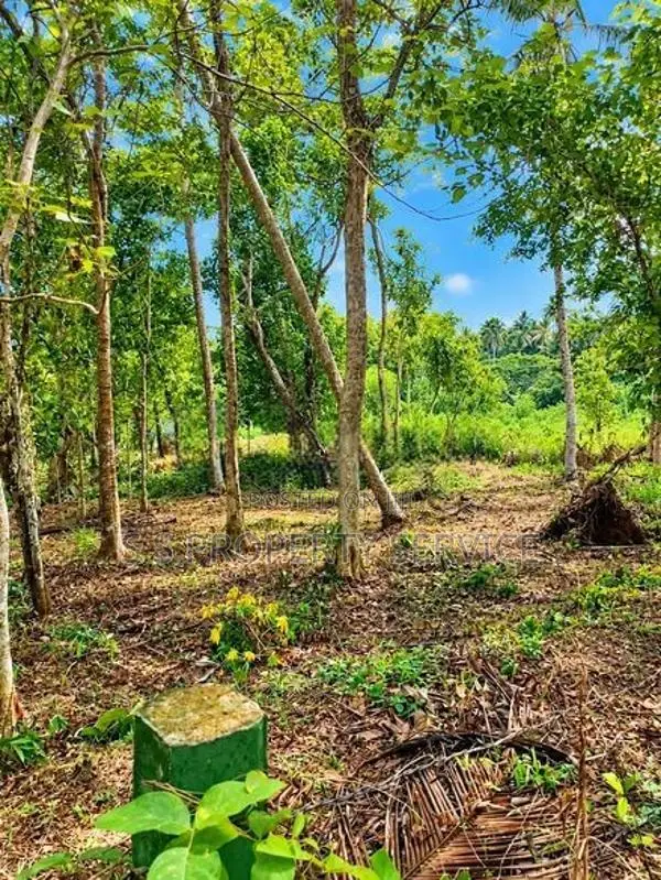 120-Perch Land for Sale in Raddolugama (SSPL-521)
