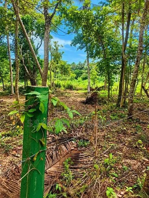 120-Perch Land for Sale in Raddolugama (SSPL-521)