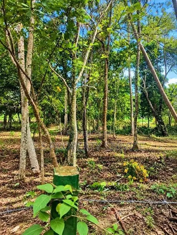 120-Perch Land for Sale in Raddolugama (SSPL-521)
