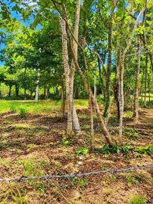 120-Perch Land for Sale in Raddolugama (SSPL-521)